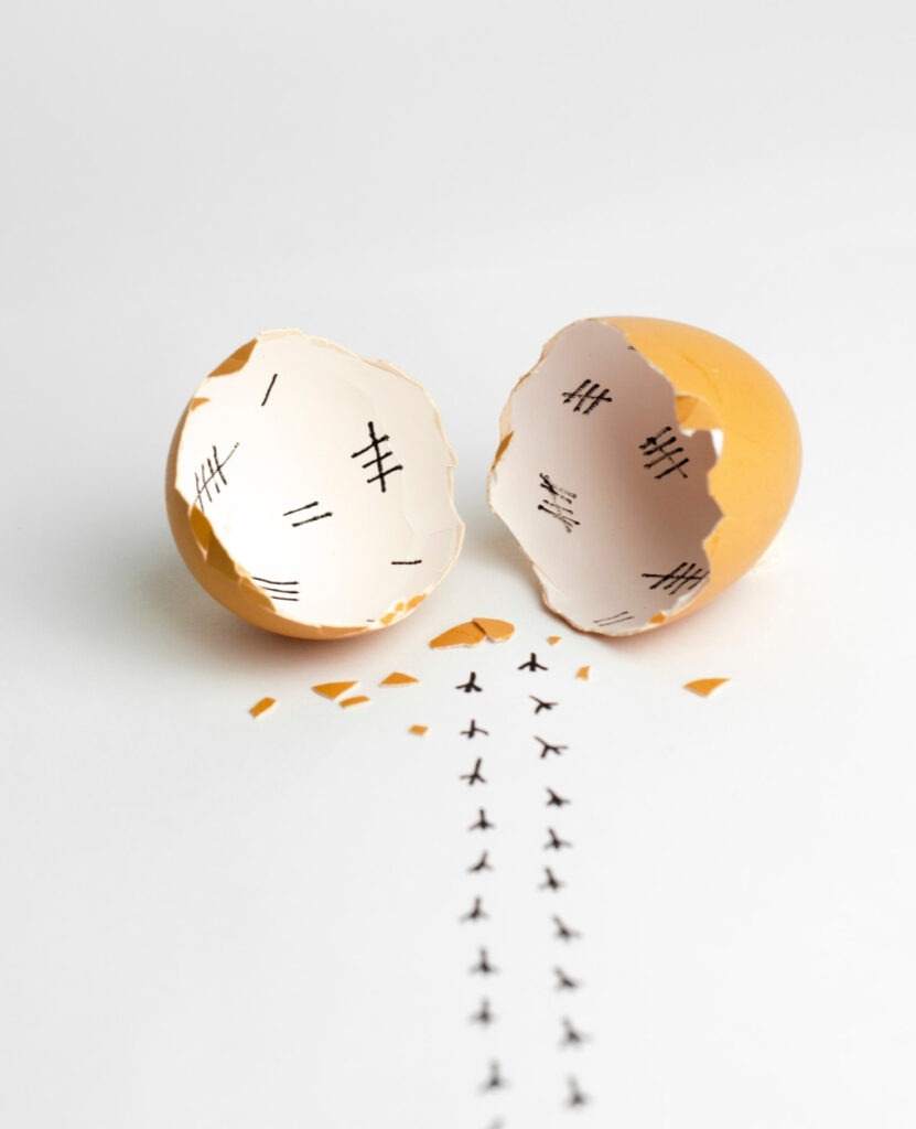 An empty egg cracked open with bird tracks walking away from the shell