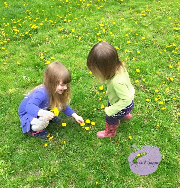 Two small girls picking flowers for Mother's Day by Champagne and Sugarplums