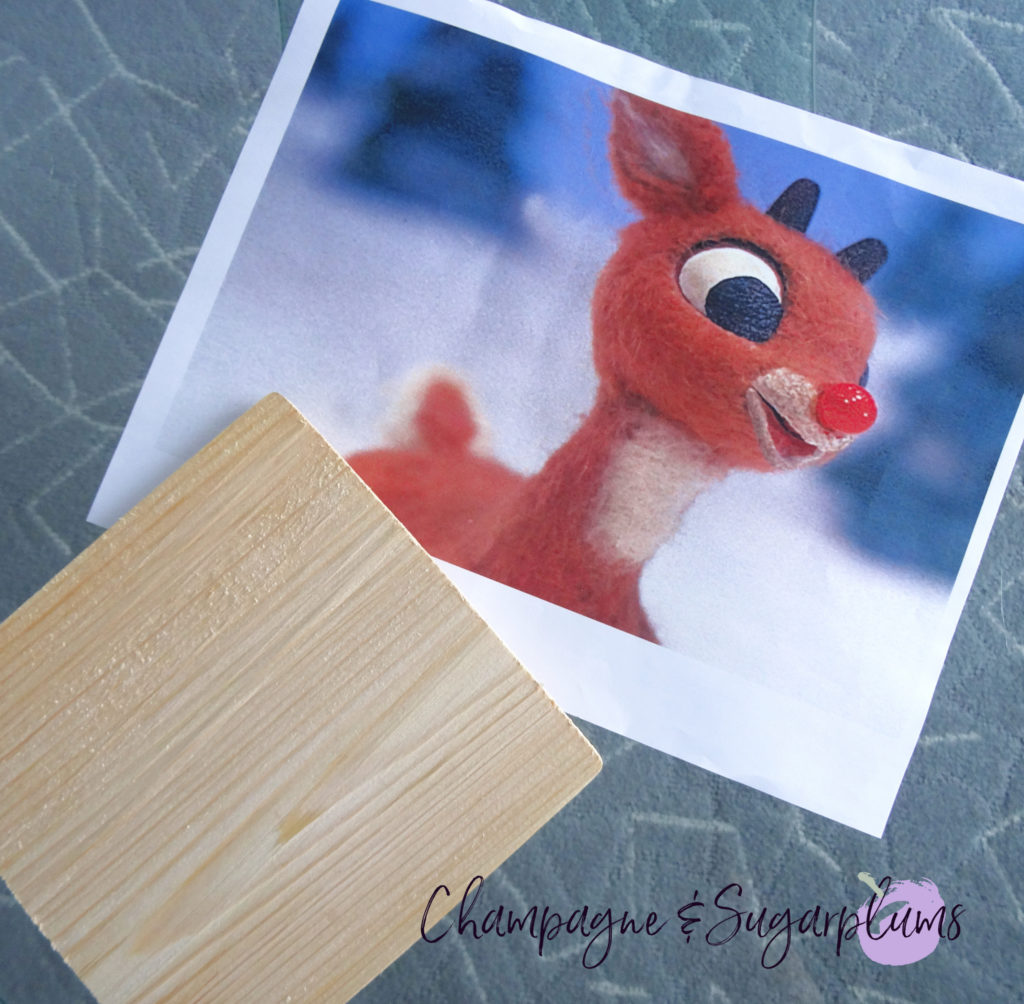 Wood plank and photo of Rudolph on blue background by Champagne and Sugarplums