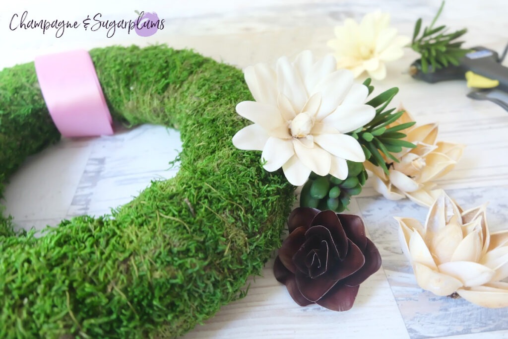 what you need to Make a Succulent Moss Wreath 