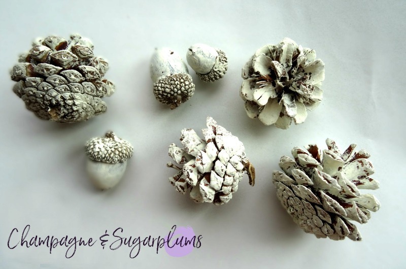 Pine cones and acorns painted cream on a white background by Champagne and Sugarplums