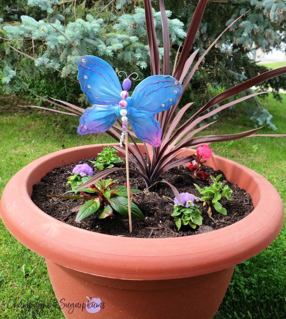 butterfly in a pot