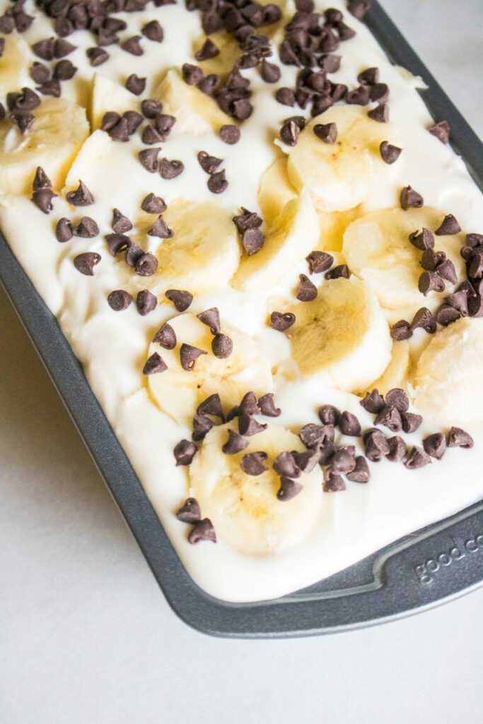 Banana Chocolate Chip Ice Cream (No-Churn) - Moms Who Save