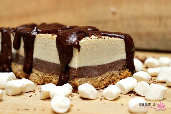 S’mores Ice Cream Cake - Gluten Free and Vegan - Pink Fortitude