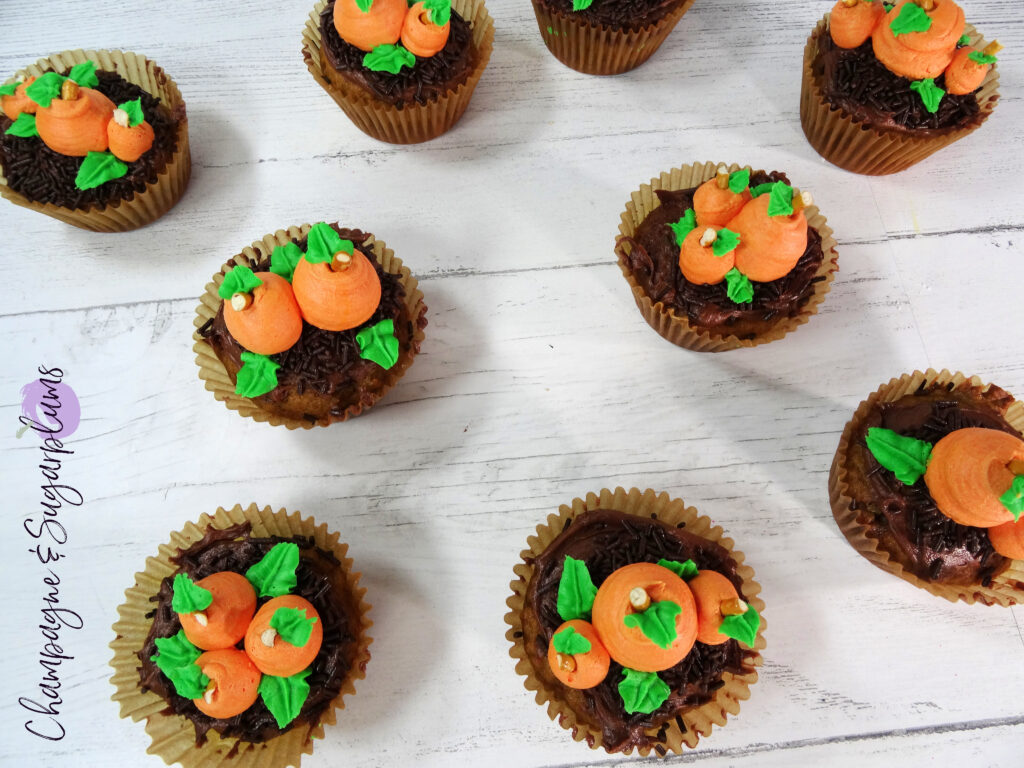 Pumpkin Patch Cupcakes on a white background by Champagne and Sugarplums