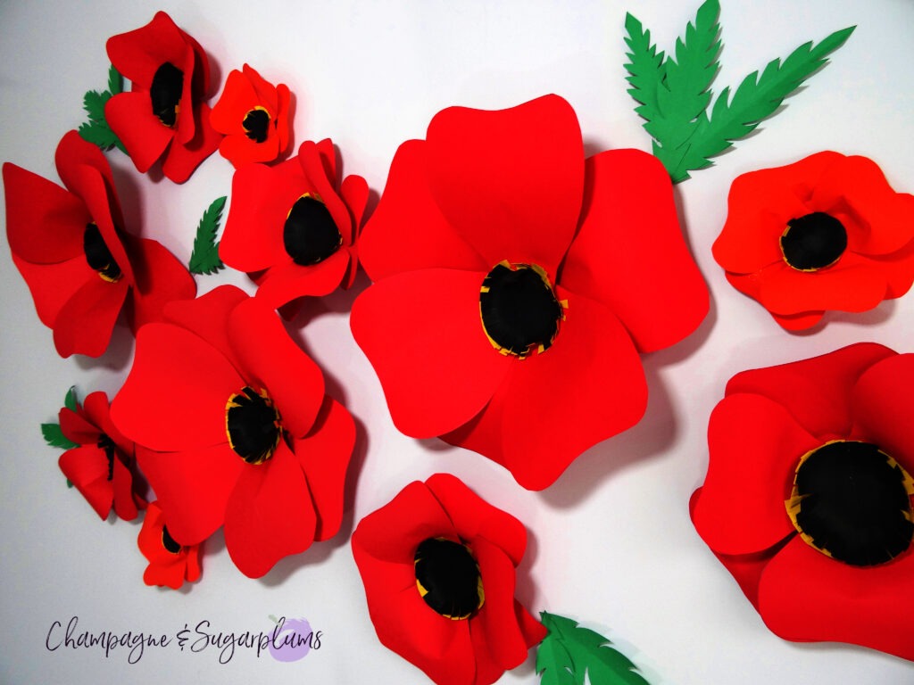 flowers on a white background by Champagne and Sugarplums