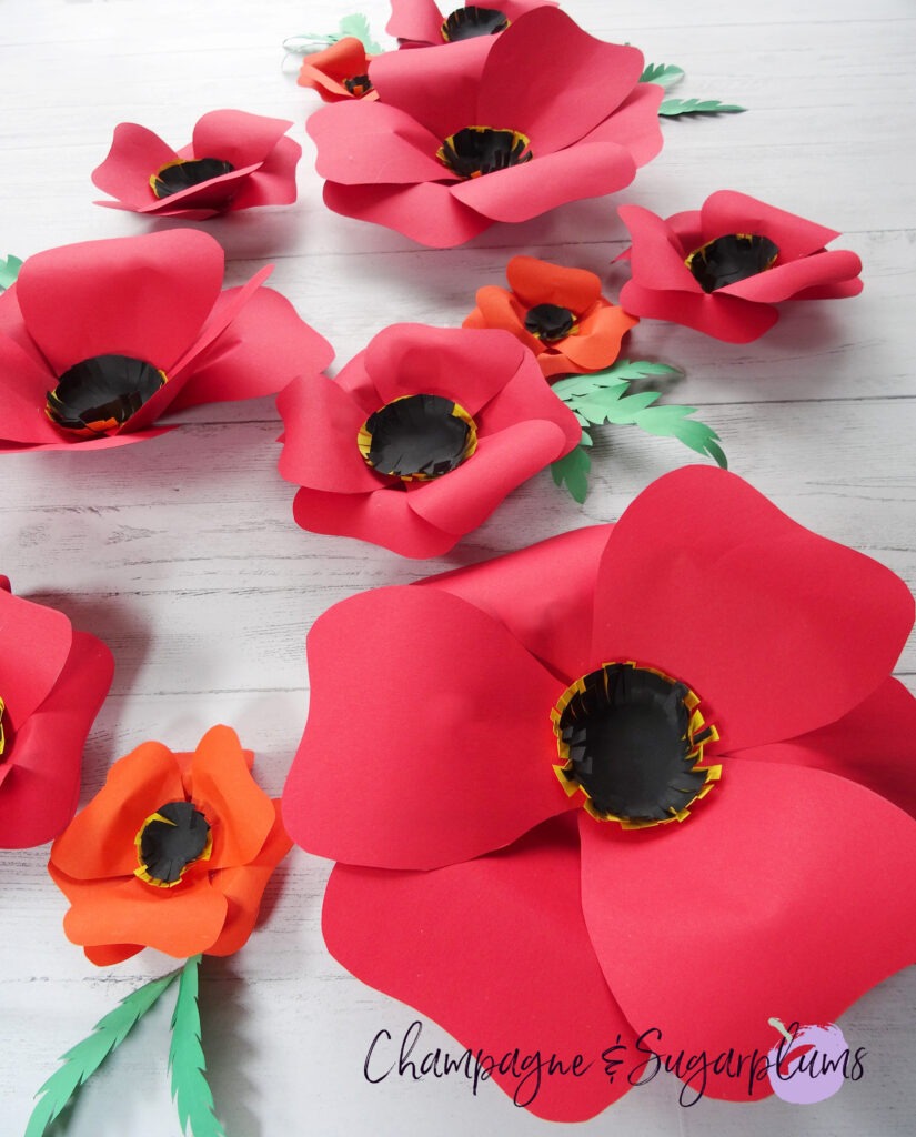 Paper flowers on a white background by Champagne and Sugarplums