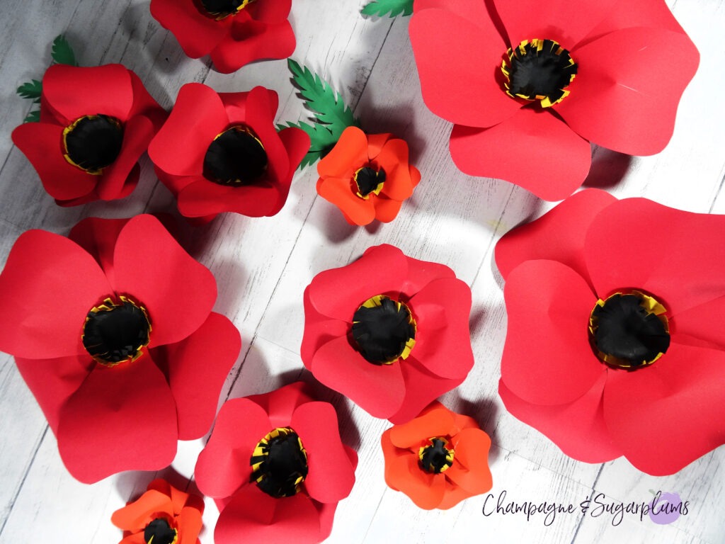 Paper Poppy Wall Art on a white background by Champagne and Sugarplums