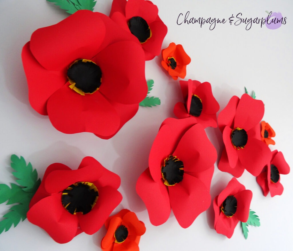Paper flowers on a white background by Champagne and Sugarplums