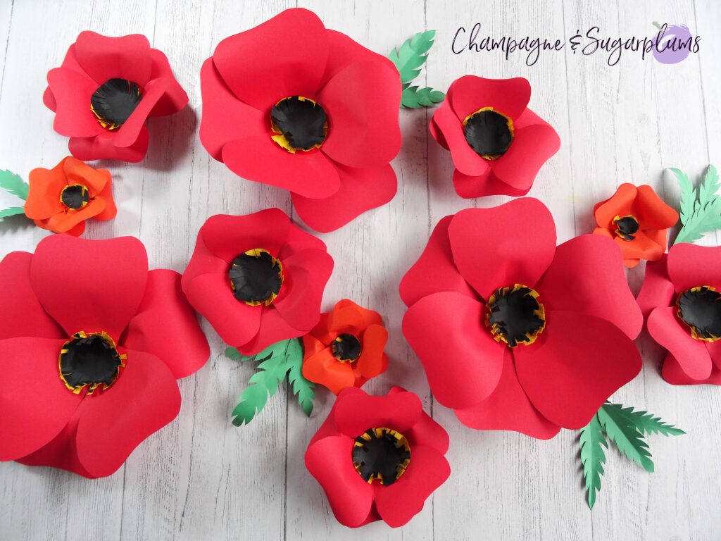 Paper Poppy Wall Art on a white background by Champagne and Sugarplums