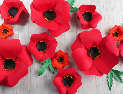 Red paper flowers on a white background by Champagne and Sugarplums