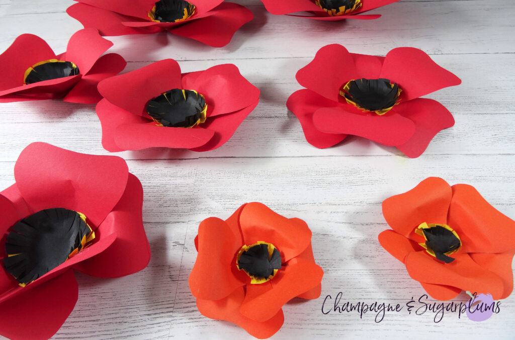 Assembled red and orange paper flowers of various sizes on a white background by Champagne and Sugarplums