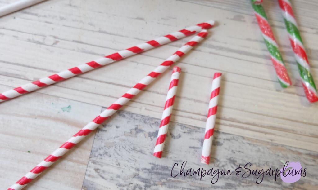 DIY Candy Cane Holder by Champagne and Sugarplums