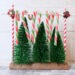 DIY Candy Cane Holder by Champagne and Sugarplums